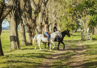 A horseback ride among the trees of the development
